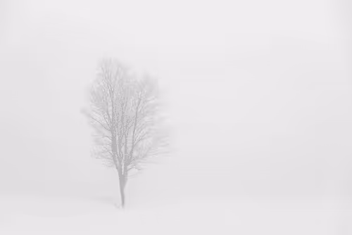 Item #82038507178112004707132471695972498506825775528903589266831690697461553168385 Media