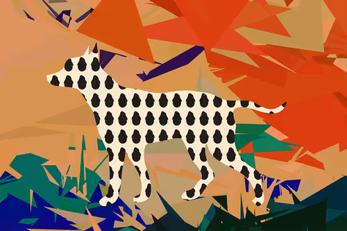 Item #3081552004028723026145009278084831977212033716920396551367619419655437811713 Media