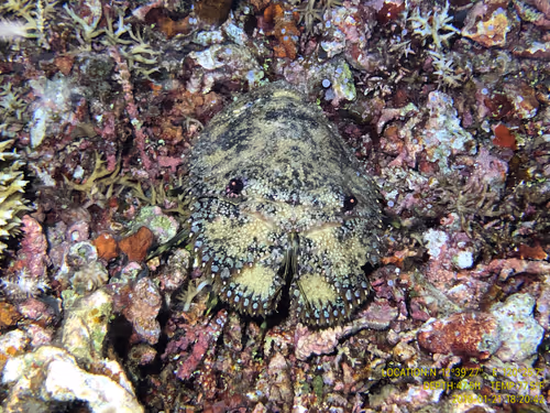 Item #80965803268169370603932631570667161375508893671094224909166964100724156268545 Media