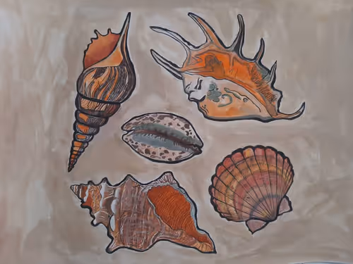 Mbitu Collection - old