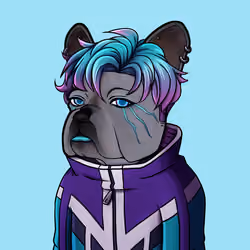 158 Blue Frenchie