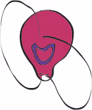 Item #114008008152738858439089017376869668929343649019793498668551632458223252930561 Media