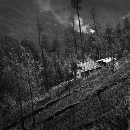 Item #97299197670576688169135242576959850036431919373710156993917717275301233295361 Media