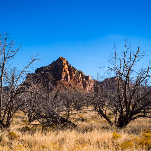 Zion171