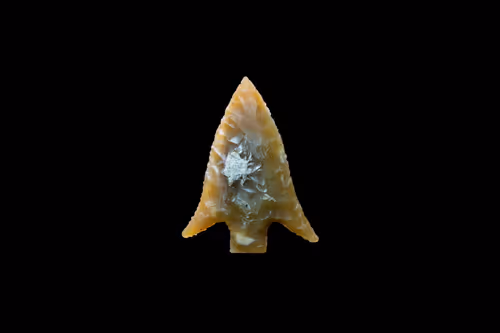 Item #73012537247702807532369324926658446839130533184421937656810479194423559192577 Media