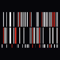 109334026439111402368738122638371148948649000304651538036628399678471366770689