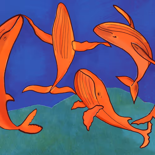 56162354454908829737657877650755008056621357666158244004469931832280799510529