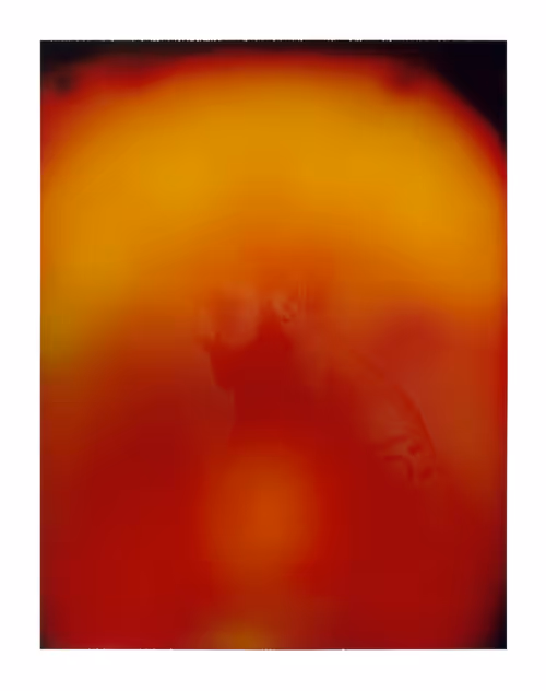 Item #108122787865298836180389659308395321212872070861200479811975176984686445461505 Media