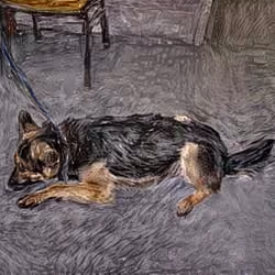 Gogh Dog #4223