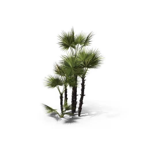 Item #36557224033069565400419298715916611442711242076290286007895566460251751317505 Media