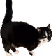 64990274745049731553840295491717017876555967035577425458275576790326423060481