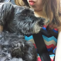 #108 Oreo