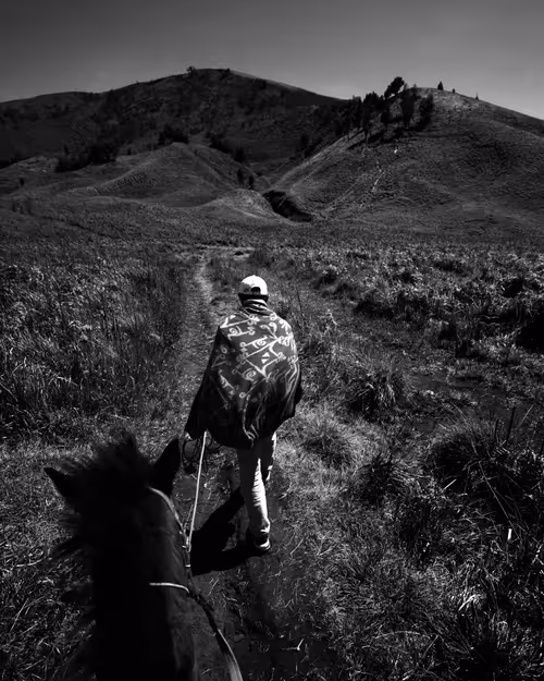 Item #97299197670576688169135242576959850036431919373710156993917717256609535623169 Media