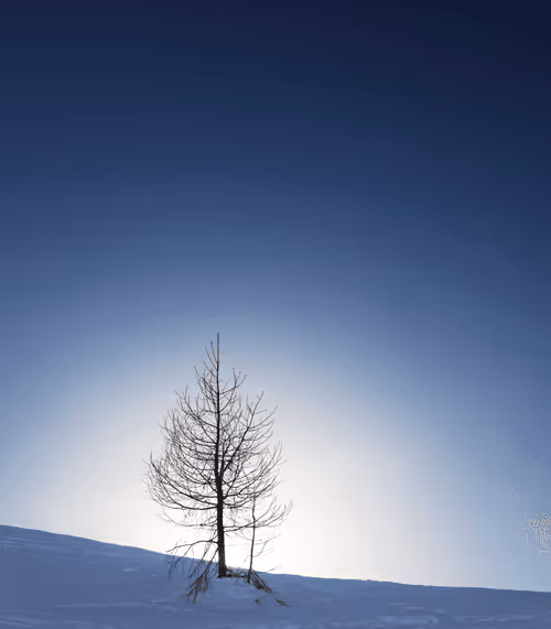 Item #82038507178112004707132471695972498506825775528903589266831690690864483401729 Media