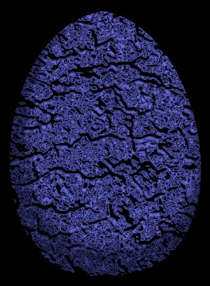 Item #22412305358539205371482020658884093096557011368869543087165207191096796381185 Media