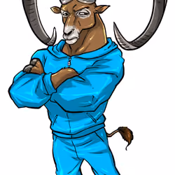 Aries V1