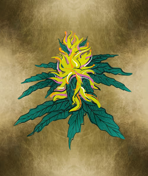 Item #88173920956366532206384104525204378846175092179682069740847406045247980961793 Media