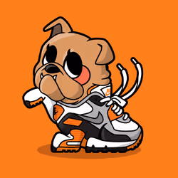 77292908932614931756374965092675722268133961932473216236256974292903704657921