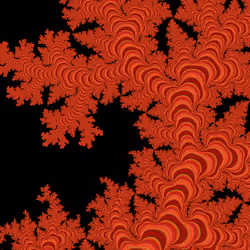 Neural Anemia #9