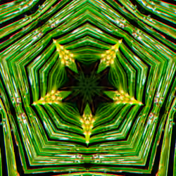 PHOTOSYNTHESIS_50