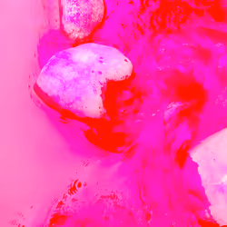 98843954857266856101330559780238873570552098425130206222908041926395333443585