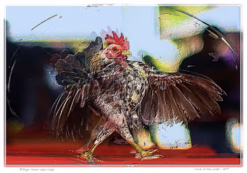 Item #11017776651197561377596972513232318538951070019919471549436519140229057085441 Media