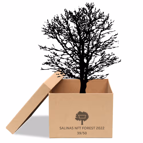 Item #63532776318757439562276927313719991273687356279339277108967620961830210371585 Media