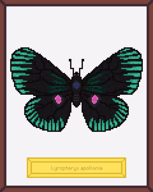 Item #99944933364211782028652678854730295040838579789766917923662069190747718942721 Media