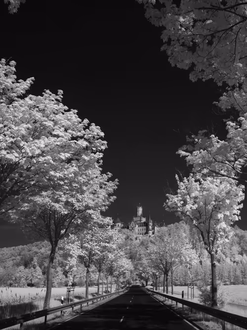 Item #40160686583094733528677484039903516258611509642019211679321071617798886653953 Media