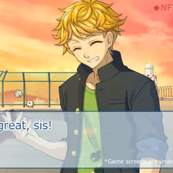 Illustration in the style of simulation game / dice-kun 02_2