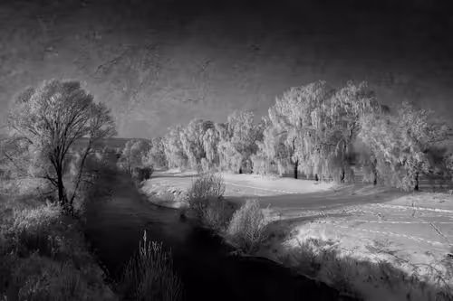 Item #40160686583094733528677484039903516258611509642019211679321071324229282037761 Media