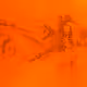 MO_Collab