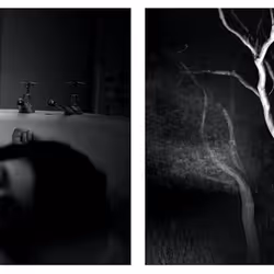 109162157552346088047496633038404394118504199992061596446112929568846291927041