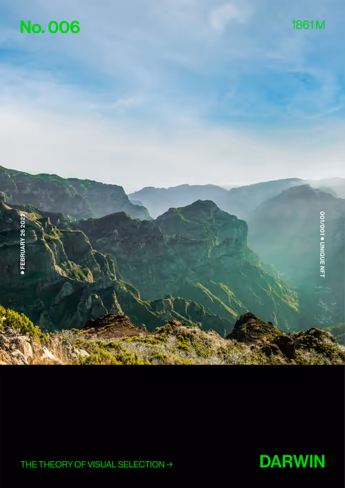 Item #5978613787773959064064561136939516829698711004901919756353002569525381562369 Media