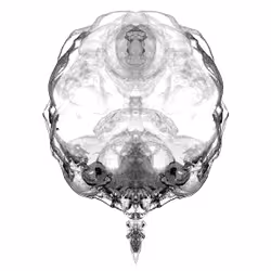 85859191866638808365331437874953228966785819470149775310971063040514528903169