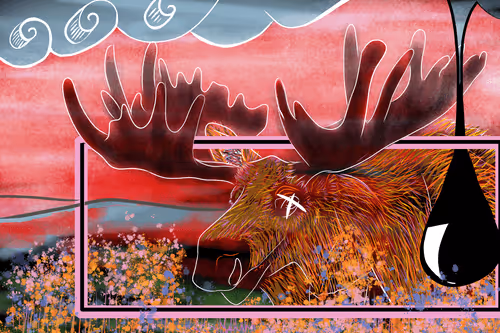 Item #102177492445544886382659035713044492308620582969953474568184538436314754711573 Media