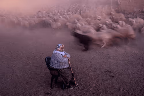 Editions by Nimet Gonenc Cinaroglu