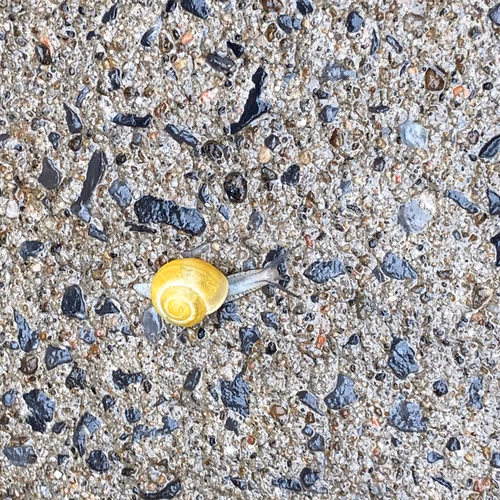 Untitled Collection #75261652