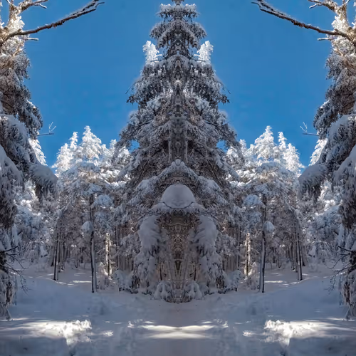 Landscape Mirrors