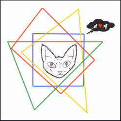 Cat, think outside the box!