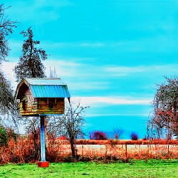 Eagle's House