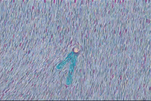 Item #57105762378202869450558961711539827991944885961407492991895323555479152492545 Media