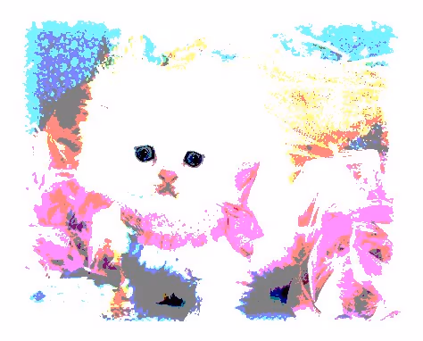 Item #23538819986925566434507765811444276093104658907602947149672917393285463408641 Media