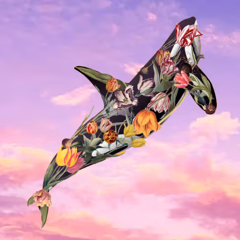 Item #516415971006047617365041400010473456366849768405533665818438992174694531073 Media