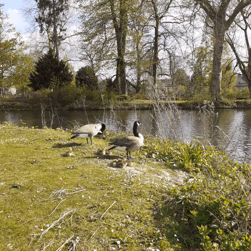 Untitled Collection #453937873