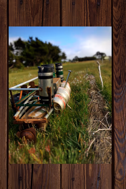 Item #20568184970538251390172672421791262085830619472527085782365060439811599368193 Media