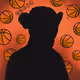 Basket Monkey Collection