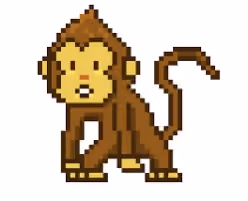 young monkey
