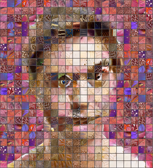 Item #100782382994010076709340746135078046665571561867051036640486281035472911204353 Media
