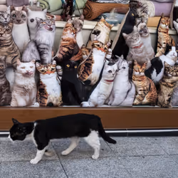 45698053960438807051727633621105073210005053048443120307747772247925892055041